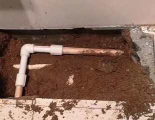 汤阴测漏水哪家好