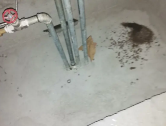 汤阴卫生间测漏水价格明细