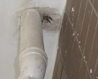 汤阴漏水检测哪家好